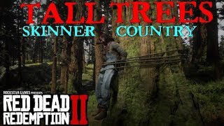 Red Dead Redemption 2  Tall Trees Skinner Brothers Country [upl. by Nospmas590]