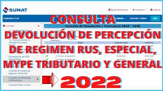 Consulta de Solicitudes de Devolución Percepción SUNAT 2022 I Regímenes Rus Especial Mype General [upl. by Gilroy693]