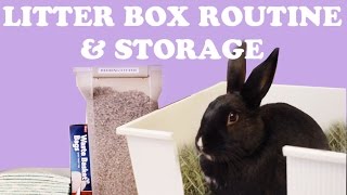 Rabbit Litter Box SetUp amp Routine [upl. by Ennyroc157]