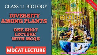 DIVERSITY AMONG PLANTS  ONE SHOT SERIES PART 1  MCQS ALSO EXPLAINED  DOCTORS STOP BIOLOGY [upl. by Heydon]