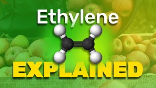 Ethylene Explained 2024 [upl. by Afnin602]