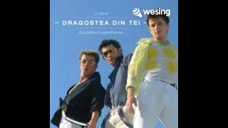 Cover Dragostea Din Tei by Mei feat CR [upl. by Irpak108]