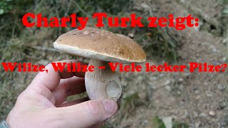 Willze Willze  viele lecker Pilze HD [upl. by Annig604]