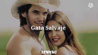 Gata Salvaje Pablo Montero lyric [upl. by Anidnamra]