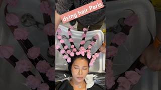 How to girl dying hair Paris painting haircuttingessentials hairdye girlhairstyles hairtutorial [upl. by Decima]