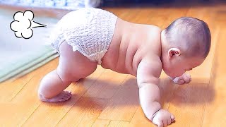 Funny Baby Videos  Adorable Chubby Baby Moments Compilations [upl. by Raf226]