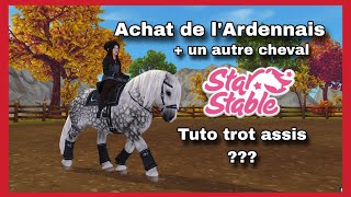 StarStable  Achat de 2 chevaux  TROT ASSIS [upl. by Pegasus]