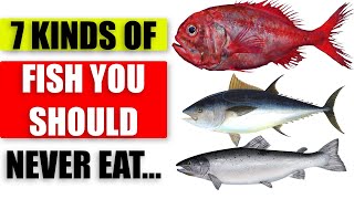 The 7 Most Toxic Fish You Should Avoid To Protect Your Health  You Should Never Eat  How to cook [upl. by Celio597]