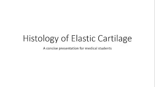 Elastic Cartilage  Histology [upl. by Nednal753]