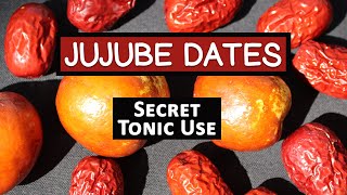 Red Jujube Fruit Secret Tonic Use of a Superfruit Variety [upl. by Pazia]