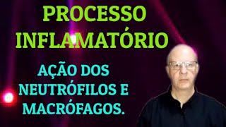 Processo inflamatório Ação dos neutrófilos e macrófagos [upl. by Hamforrd251]