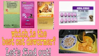 Paano magdeworm ng pusaDeworming cats using Natural home remedy and over the counter dewormer [upl. by Ludmilla]