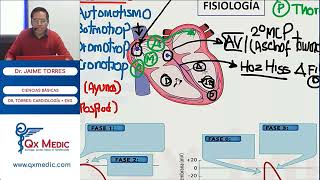 Resumen de Fisiología Cardíaca [upl. by Mahla643]