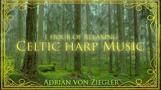 1 Hour of Relaxing Celtic Harp Music by Adrian von Ziegler [upl. by Davina]