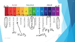 ആസിഡുകൾ amp ആൽക്കലി Acids and Alkali  Part 2  Class 10  Malayalam [upl. by Strander]