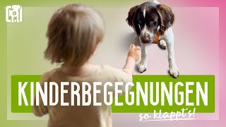 Kinderbegegnungen mit Hund  so gehts richtig [upl. by Areikahs]