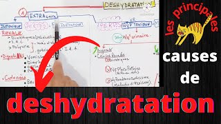 déshydratation intracellulaire et extracellulaire les causes [upl. by Ennoirb]