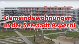 GemeindebauSchlüsselübergabe in der Wiener Seestadt [upl. by Painter]