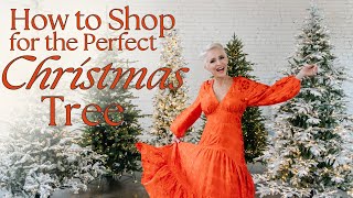 Christmas Tree Shop  My Top 5 Favorite Trees  How to Shop for the Perfect Christmas Tree [upl. by Eelyme]