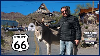 The West 2019 Part 8 Lake Havasu City Oatman Kingman and Laughlin [upl. by Aia]