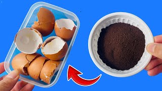 Mix Eggshells And Coffee And You Will Be Amazed At The RESULT Few Know This [upl. by Ymer632]