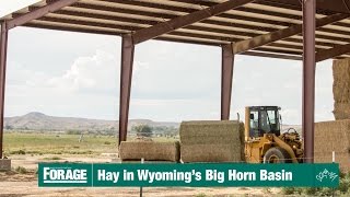 Hay in Wyomings Big Horn Basin [upl. by Harvard165]