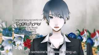 Caged Flower RenG feat Kaito English Sub [upl. by Parhe]