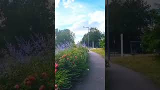 Walking  Cergy Paris [upl. by Ayotan]