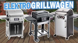 Beste ELEKTROGRILLWAGEN 2024  Top 3 Elektrogrillwagen Vergleich [upl. by Ellatnahc229]