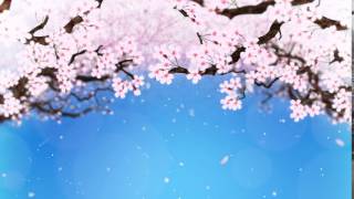 Cherry Blossom Loop [upl. by Leyla]