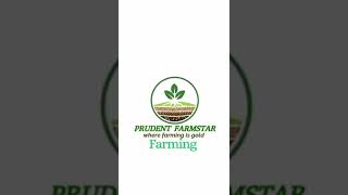 That is who we are PRUDENT FARMSTAR betterlifefarming farmkenya farming [upl. by Ridgley]