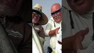 Island Fishing Tackle slams yellowtail white seabass halibut amp more fishing Cedros Island Mexico [upl. by Ammadis]