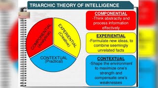 🌐🌀TRIARCHIC THEORY OF INTELLIGENCESTERNBERGS THEORY OF INFORMATION PROCESSINGMA PSYCHOLOGYIGNOU🌐🌀 [upl. by Junji]