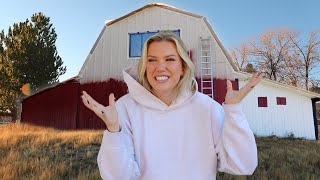 PAINTING MY BARN [upl. by Ellery411]