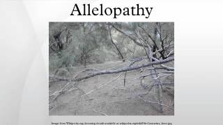 Allelopathy [upl. by Oirom]