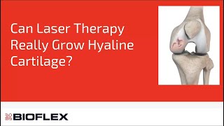 Can Laser Therapy Grow Hyaline Cartilage [upl. by Mello455]