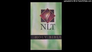 04NLT  Gospel of John [upl. by Sherrod135]