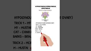 trick to learn examples of hypogynousperigynous and epigynous flowers share neet biology like [upl. by Alidus]