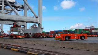 Container terminal Rotterdam [upl. by Madelaine908]