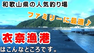 和歌山県の衣奈漁港はこんなところです！和歌山県のファミリーにも人気釣り場 [upl. by Gauldin588]