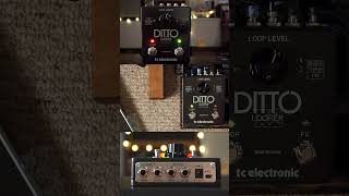 TC Electronic Ditto X2 Stereo Looper pedaloftheday tcelectronic looper looperpedal ditto [upl. by Nibram]