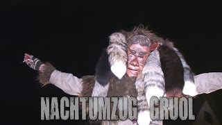 Nachtumzug Gruol 2014 [upl. by Westphal]