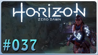 Horizon Zero Dawn 🌄 37  SchildweberinRüstung [upl. by Nessa765]