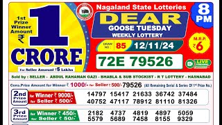 Lottery Result Today 8pm 12112024  Official  Sikkim Lottery [upl. by Neeli]