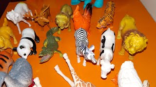 Zoo animals collection  plastic animals toys  zoo animals toys  animals shape and name live [upl. by Dyun822]