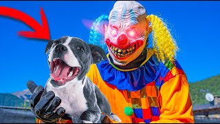 EL PAYASO ME REGALA UN CACHORRO DE PERRO BEBE  Makiman [upl. by Nnorahs]