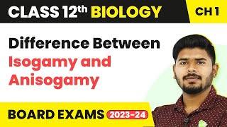 Difference Between Isogamy and Anisogamy  Class 12 Biology Chapter 1 NCERTNEET 202223 [upl. by Inohtna]