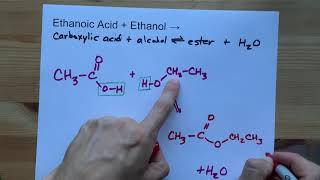 Ethanoic Acid  Ethanol   Ester Reaction [upl. by Freeman]