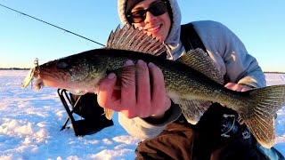 SHALLOW AGGRESSIVE Mid Winter WALLEYE [upl. by Ijan525]