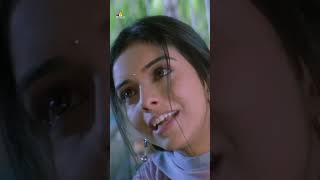 Asin Serious Over Vijay Thalapathy  massraja  action  shorts  ytshorts  youtubeshorts [upl. by Prescott]